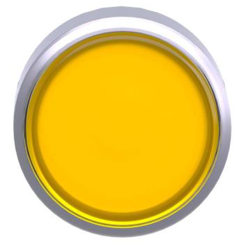  T�te bouton P P lumin affl O22 