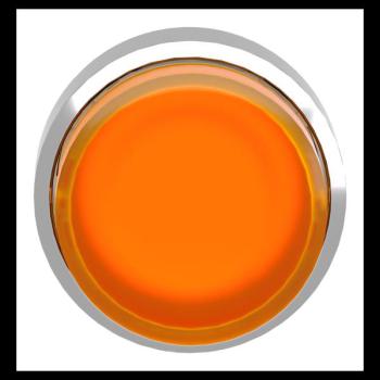  TETE POUSSER-POUSSER 