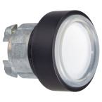  BOUT.IMPULS. BLANC CAPUCH 