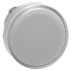  TETE VOYANT LUMINEUX 