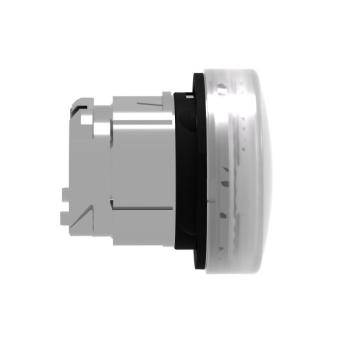  TETE VOYANT LUMINEUX 