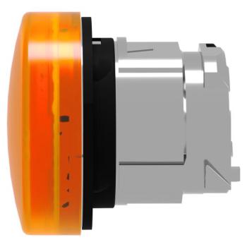  TETE VOYANT LUMINEUX 