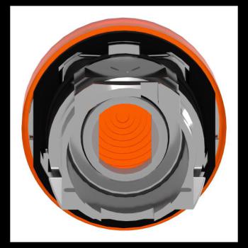  TETE VOYANT LUMINEUX 