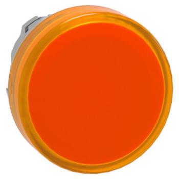  TETE VOYANT LUMINEUX 