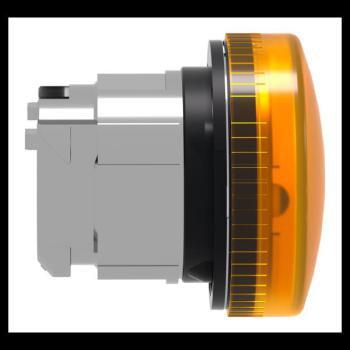  TETE VOYANT LUMINEUX 