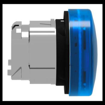  TETE VOYANT LUMINEUX 