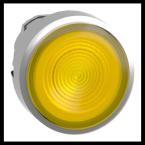  T�te B P lumin DEL aff S O22 J 