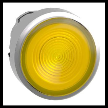  T�te B P lumin DEL aff S O22 J 