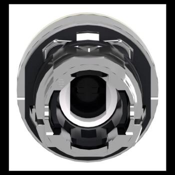  T�te B P lumin DEL aff S O22 J 