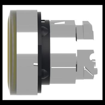  T�te B P lumin DEL aff S O22 J 