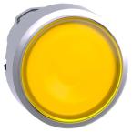  T�te B P lumin DEL aff L O22 J 