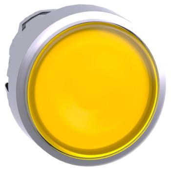  T�te B P lumin DEL aff L O22 J 