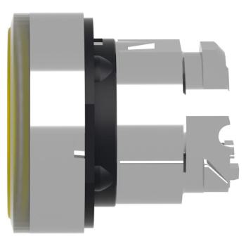  T�te B P lumin DEL aff L O22 J 