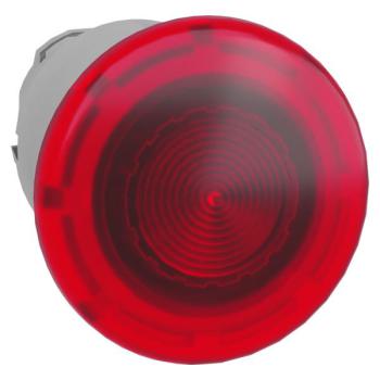  COUP DE POIN LUMINEUX 