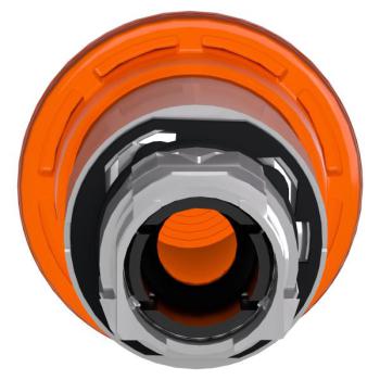  COUP DE POIN LUMINEUX 