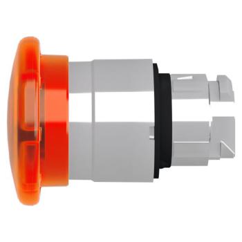  COUP DE POIN LUMINEUX 