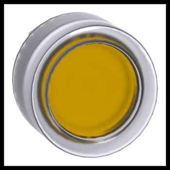  T�te B P lumin DEL aff C O22 J 