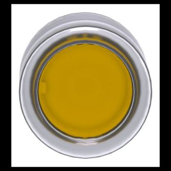  T�te B P lumin DEL aff C O22 J 