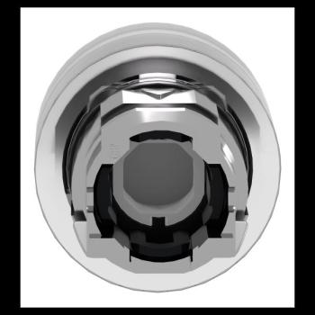  T�te B P lumin DEL aff C O22 J 