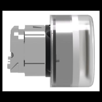  T�te B P lumin DEL aff C O22 J 