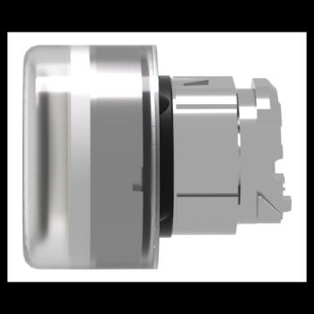  T�te B P lumin DEL aff C O22 J 