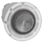  COUP DE POIN LUMINEUX 