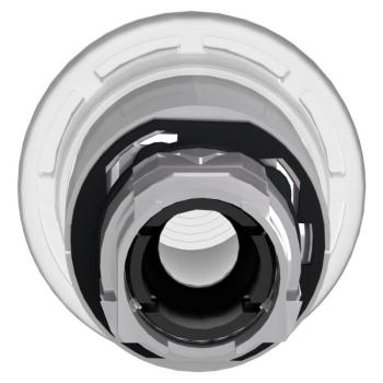  COUP DE POIN LUMINEUX 