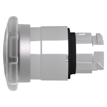  COUP DE POIN LUMINEUX 