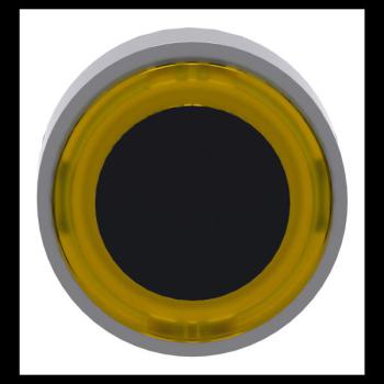  T�te B P lumin DEL aff A O22 J 