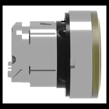  T�te B P lumin DEL aff A O22 J 