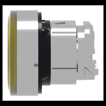  T�te B P lumin DEL aff A O22 J 