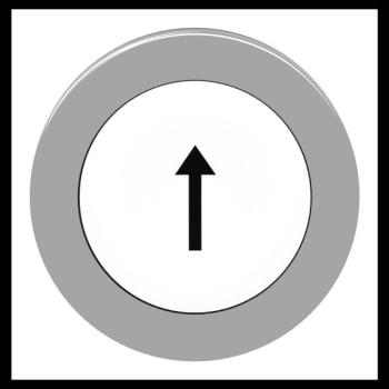  t�te BP flush marqu� blanc 