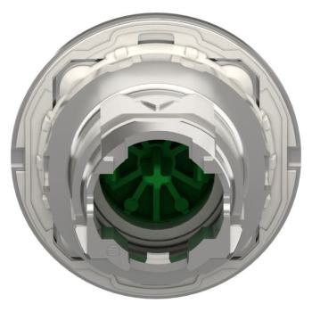  t�te BP flush vert 