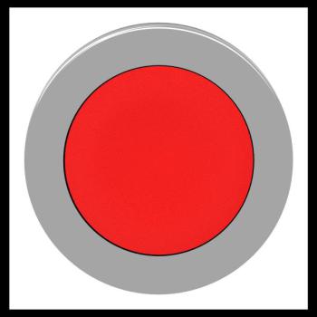  t�te BP flush rouge 