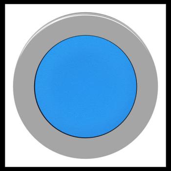  t�te BP flush bleu 