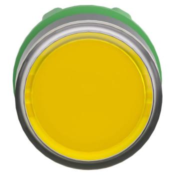  T�te B P lumin DEL �tq L O22 J 