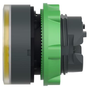  T�te B P lumin DEL �tq L O22 J 