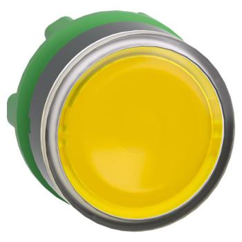  T�te B P lumin DEL aff O22 J 