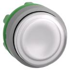  t�te BP pous-pous lumin blanc 