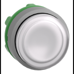  tte BP pous-pous lumin blanc 