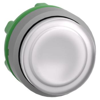  t�te BP pous-pous lumin blanc 