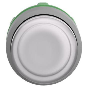  t�te BP pous-pous lumin blanc 