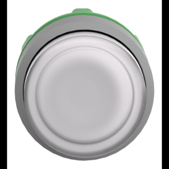  tte BP pous-pous lumin blanc 