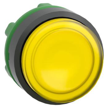  T�te B P lumin DEL d�p O22 J 