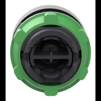  tte BP O22 dpassant vert 