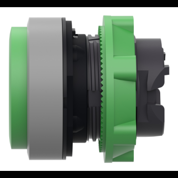  tte BP O22 dpassant vert 