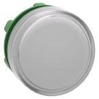  TETE VOYANT LUMINEUX 