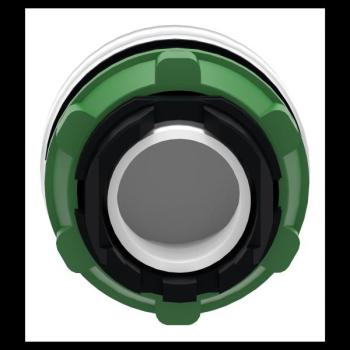  TETE VOYANT LUMINEUX 