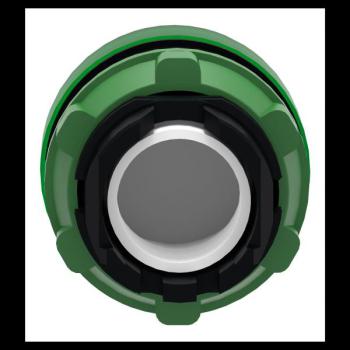  TETE VOYANT LUMINEUX 