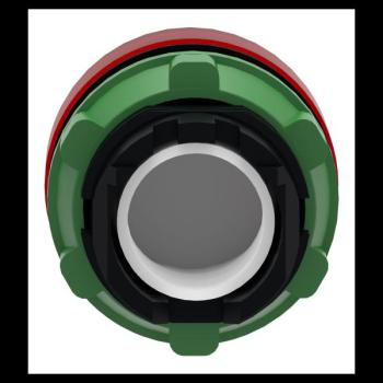  TETE VOYANT LUMINEUX 